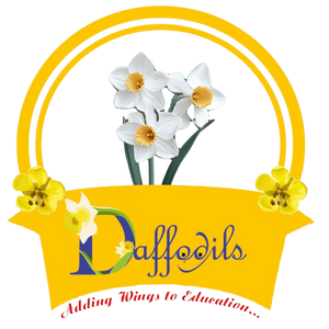 Daffodils