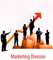 Marketing Division|Sale Enhancement